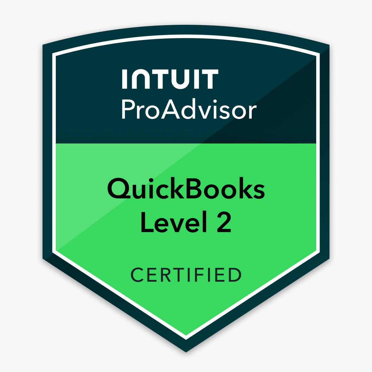 intuit-proadvisor-level-02