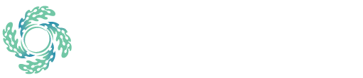 FinSyncBook
